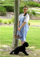 The Wizard of Oz