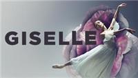 Giselle 
