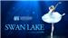 Swan Lake