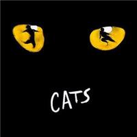 CATS - Youth Edition