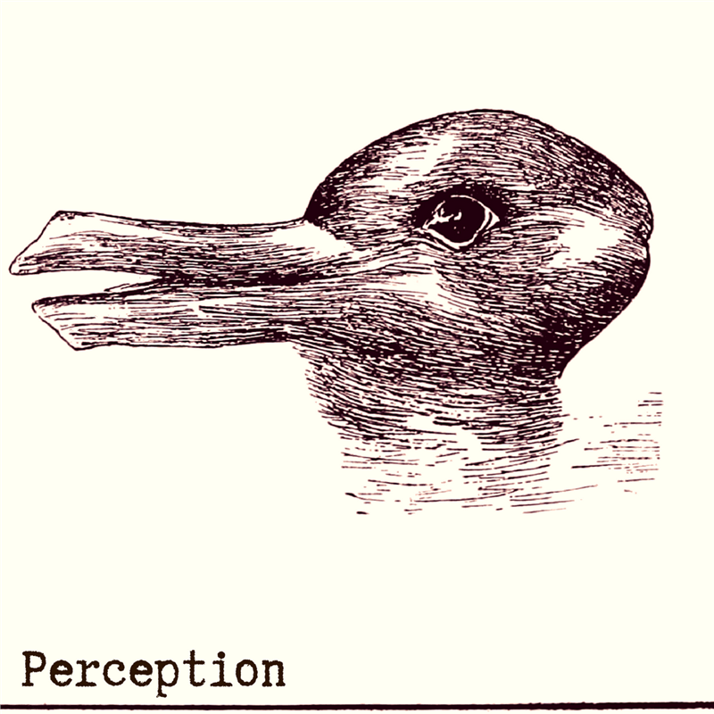 Perception