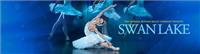 Swan Lake