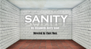 Sanity