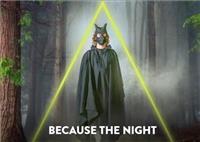 Because the Night