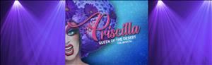 Priscilla Queen of The Desert Musical
