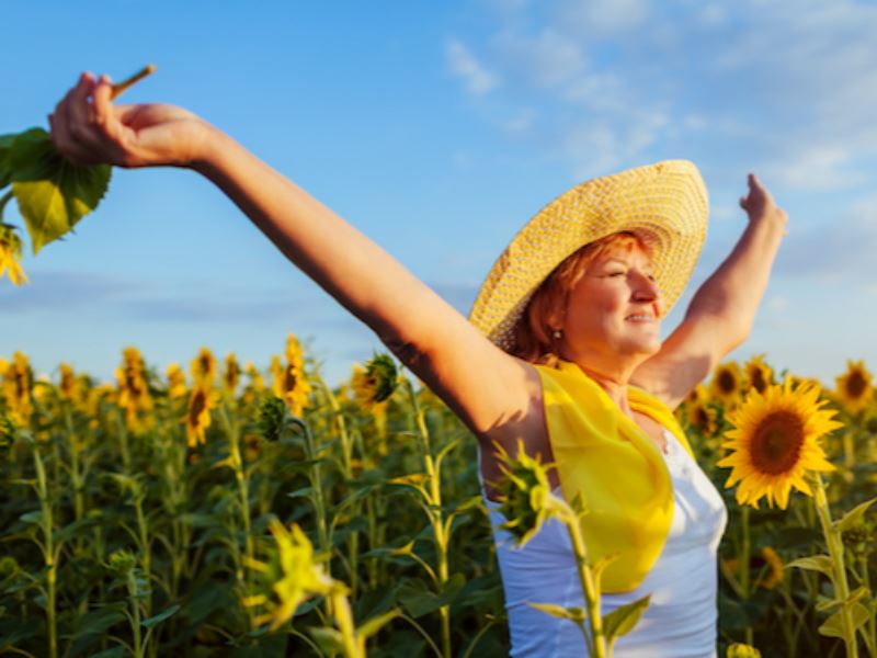 Sunflowers