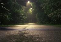 The Park