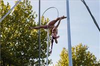 Sunset Circus