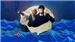 Lano & Woodley - Moby Dick