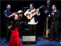 The Andalusian Guitar