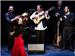 The Andalusian Guitar