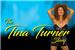 The Tina Turner Show