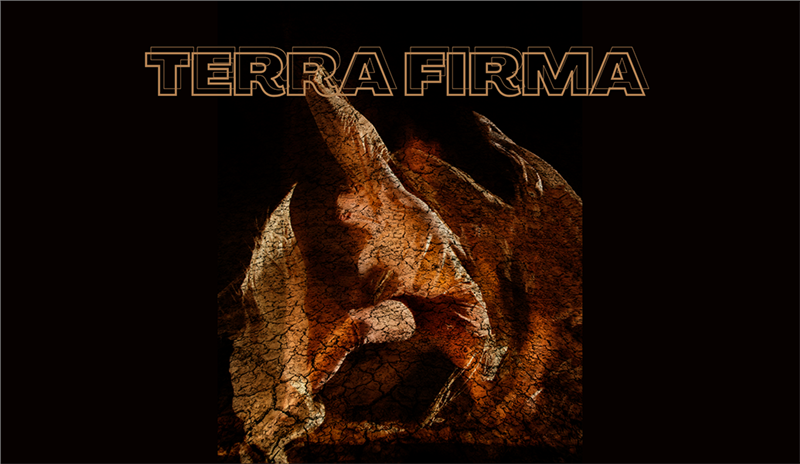 Terra Firma