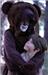The Jungle Book Musical 
