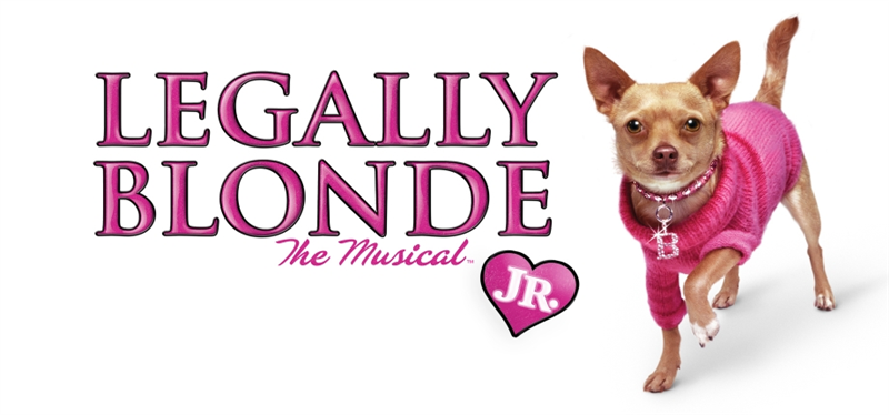 Legally Blonde JR 