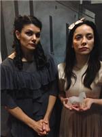 The Glass Menagerie