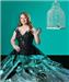 The Glass Menagerie