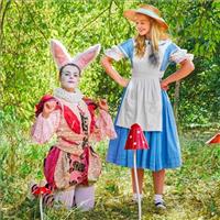 Alice In Wonderland