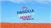 Priscilla Queen of the Desert: The Musical