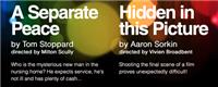 Double Bill - A Seperate Peace & Hidden in this Picture