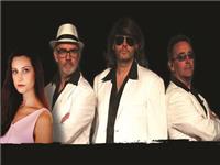 The Bee Gees Show - One Night Only