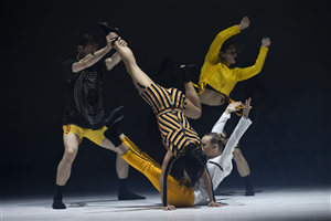 Ascent by Sydney Dance Company