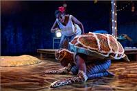 Waru - Journey of the Small Turtle