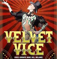 Velvet Vice