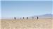 The Long Way Home