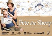 Pete the Sheep