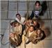 Noises Off