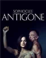 Sophocles Antigone