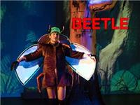Beetle