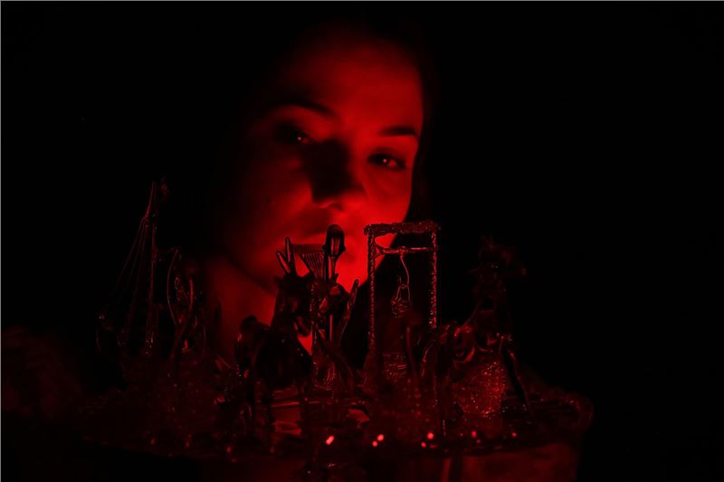 The Glass Menagerie 