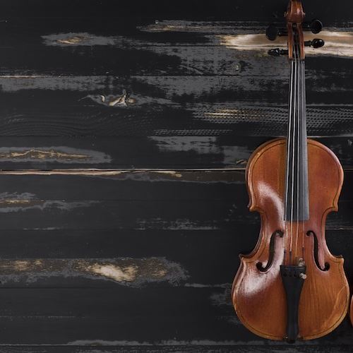 The Orchestra by Ophelia Novak