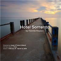 Hotel Sorrento by Hannie Rayson