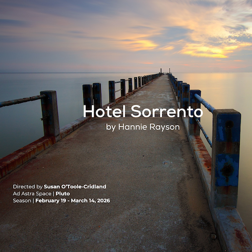 Hotel Sorrento by Hannie Rayson