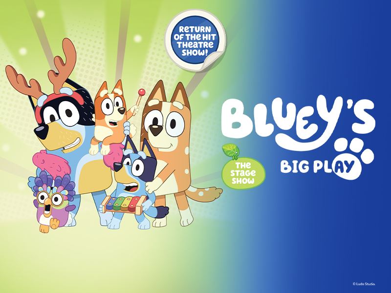 Bluey's Big Play The Stage Show
