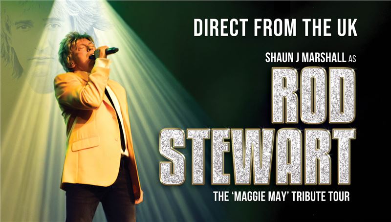 The UK Rod Stewart Show