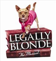 Legally Blonde - The Musical