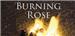 Burning Rose